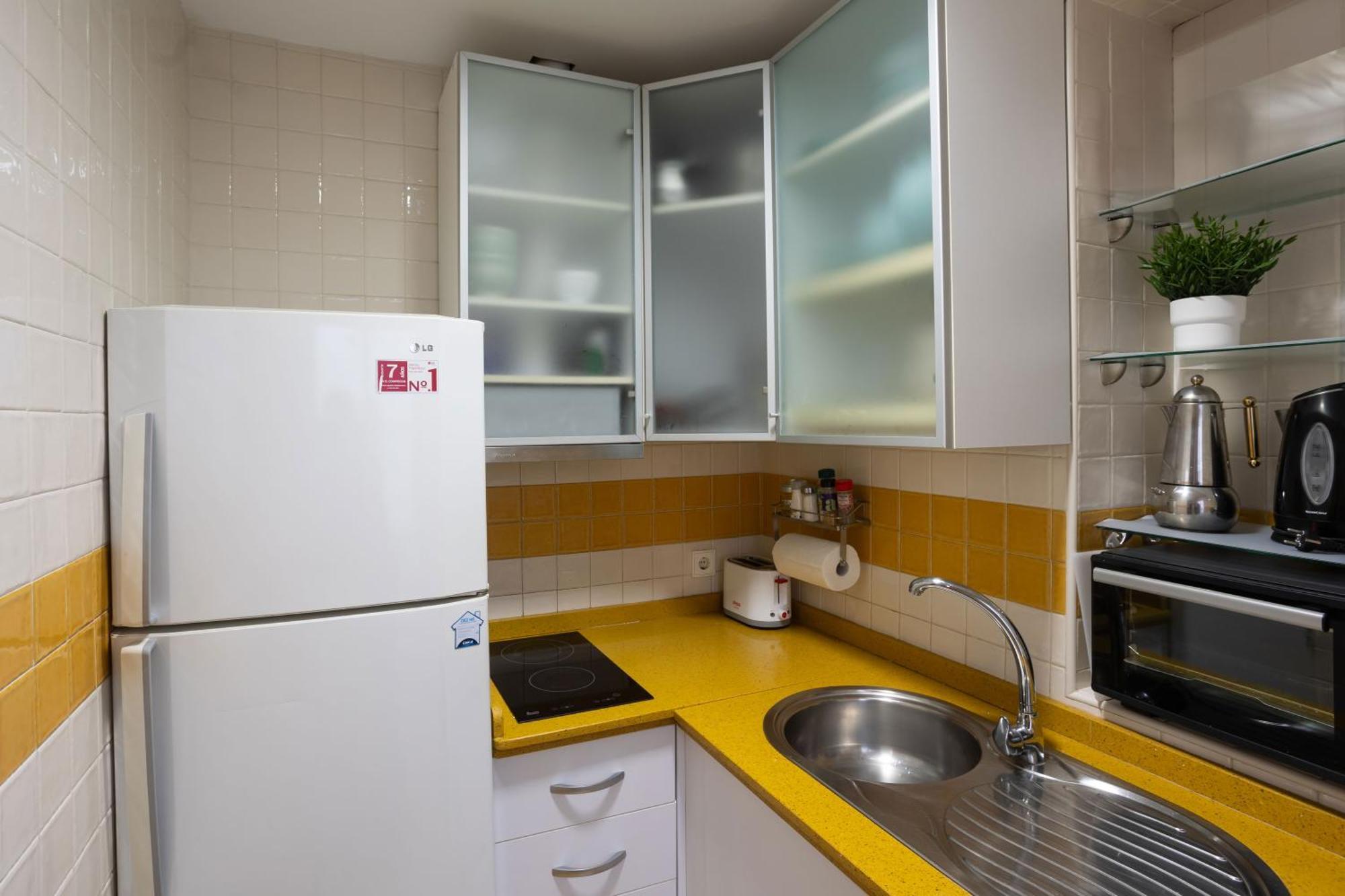 Apartment Vidrio Urban *