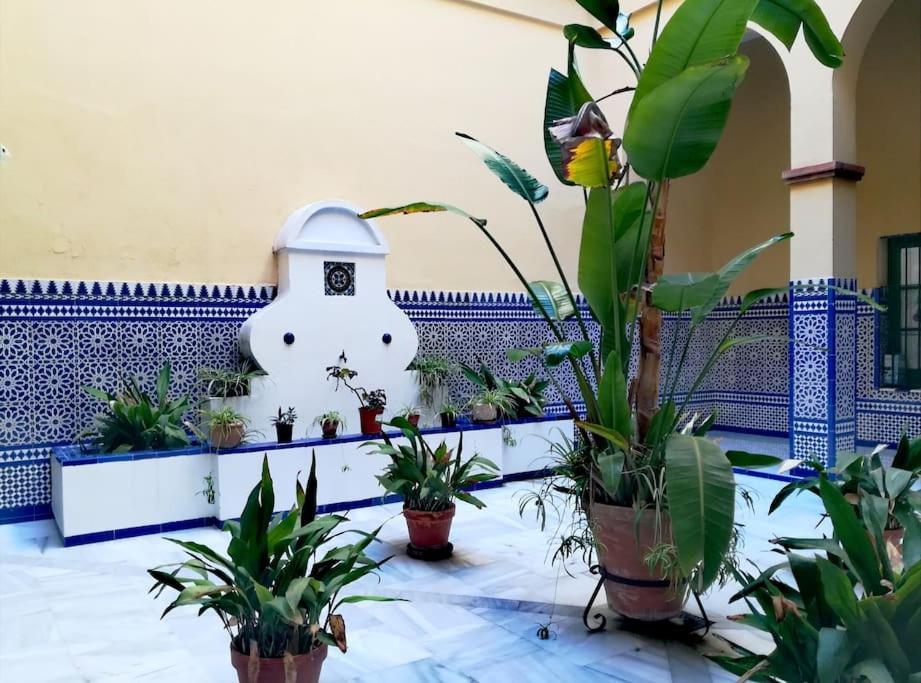 Apartamento Hispalis Conde De Ibarra Sevilla