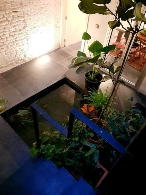 Exclusivo De Diseno Centro Matahacas Bajo *