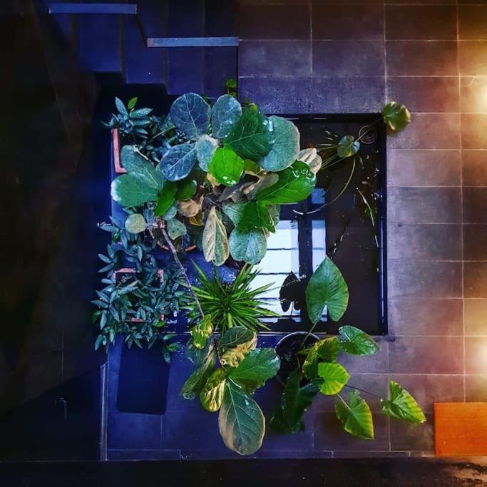 Apartment Exclusivo De Diseno Centro Matahacas Bajo Seville