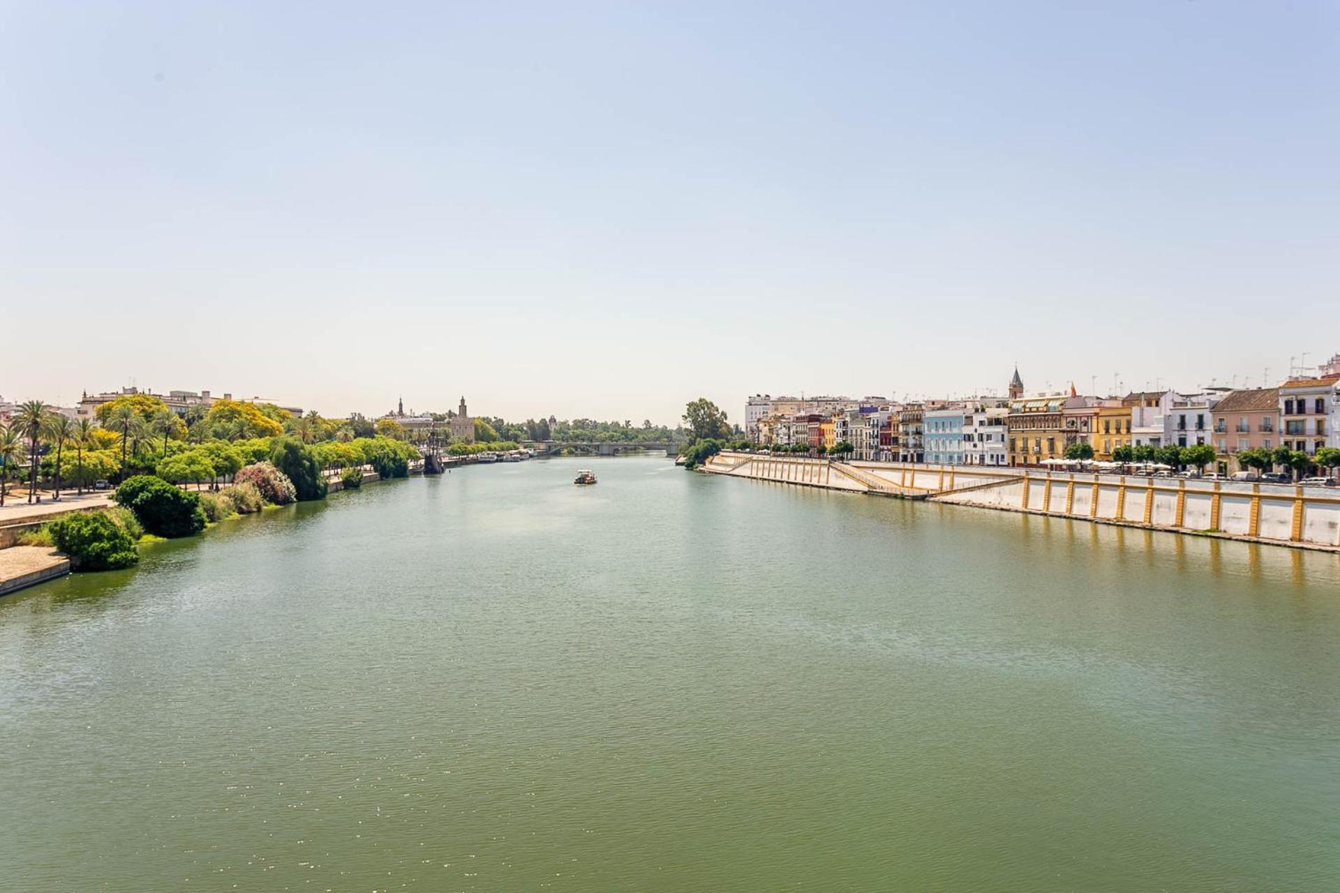 Apartamento La Estrella De Triana - Encantador Y Bien Situado Sevilla