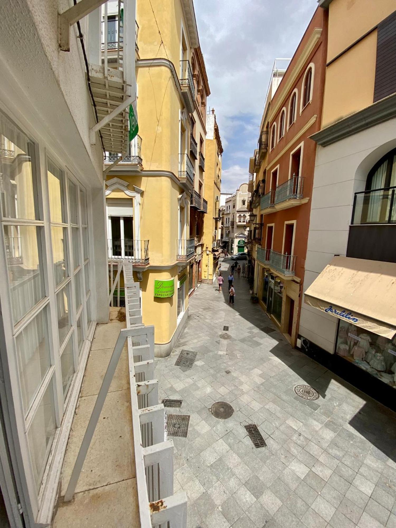 4pax En Pleno Centro Plaza Salvador * Sevilla