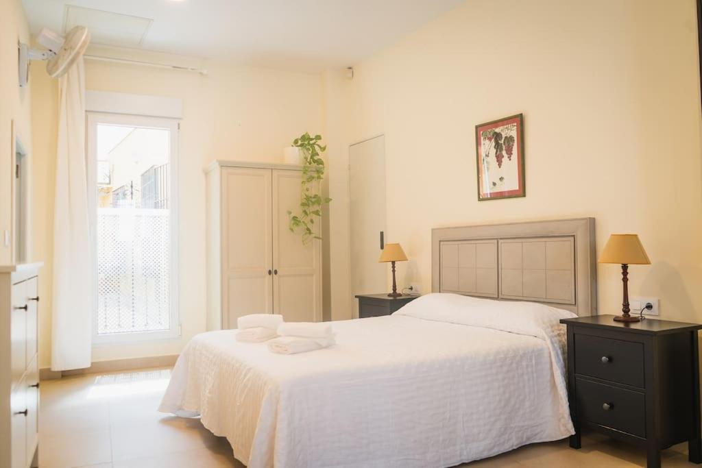 Estudio A Estrenar En Sta Clara * Sevilla