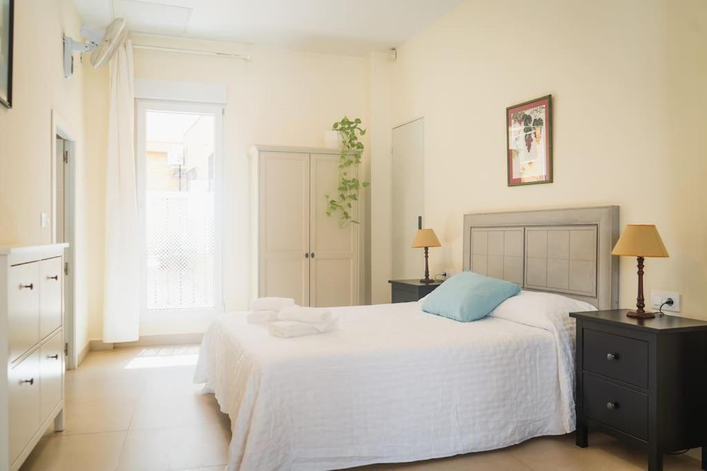 Estudio A Estrenar En Sta Clara * Sevilla