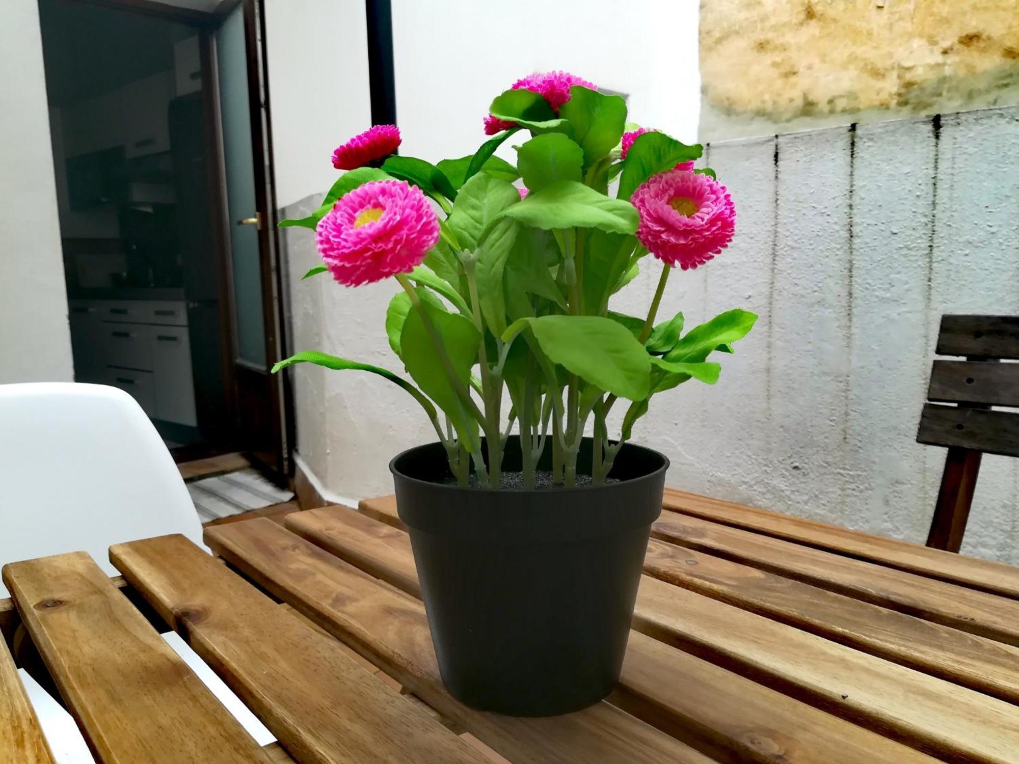 Apartamento Oasis Galindo Nice Flat Sevilla