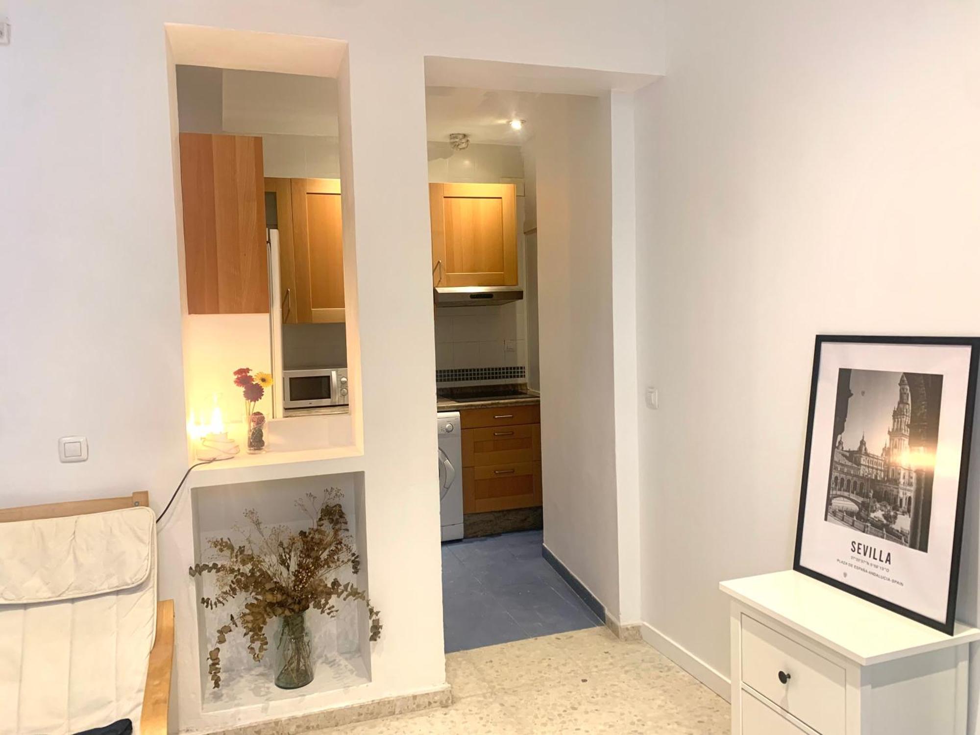 Apartamento Sevilla Central Sevilla