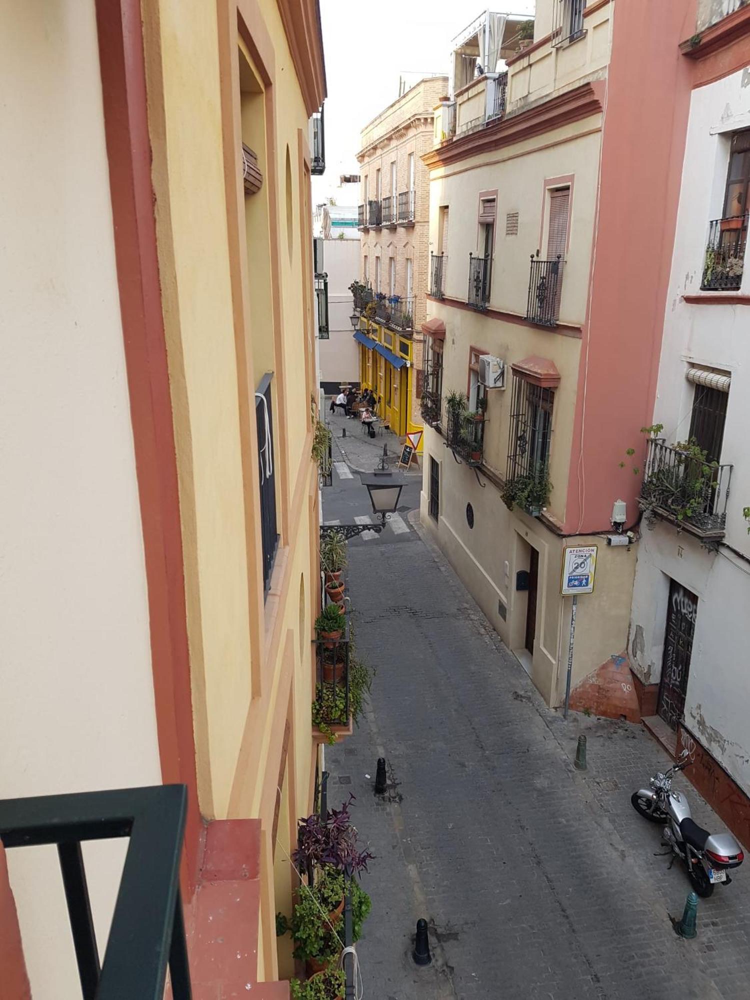 Marco Sancho Centro-alameda-setas * Sevilla