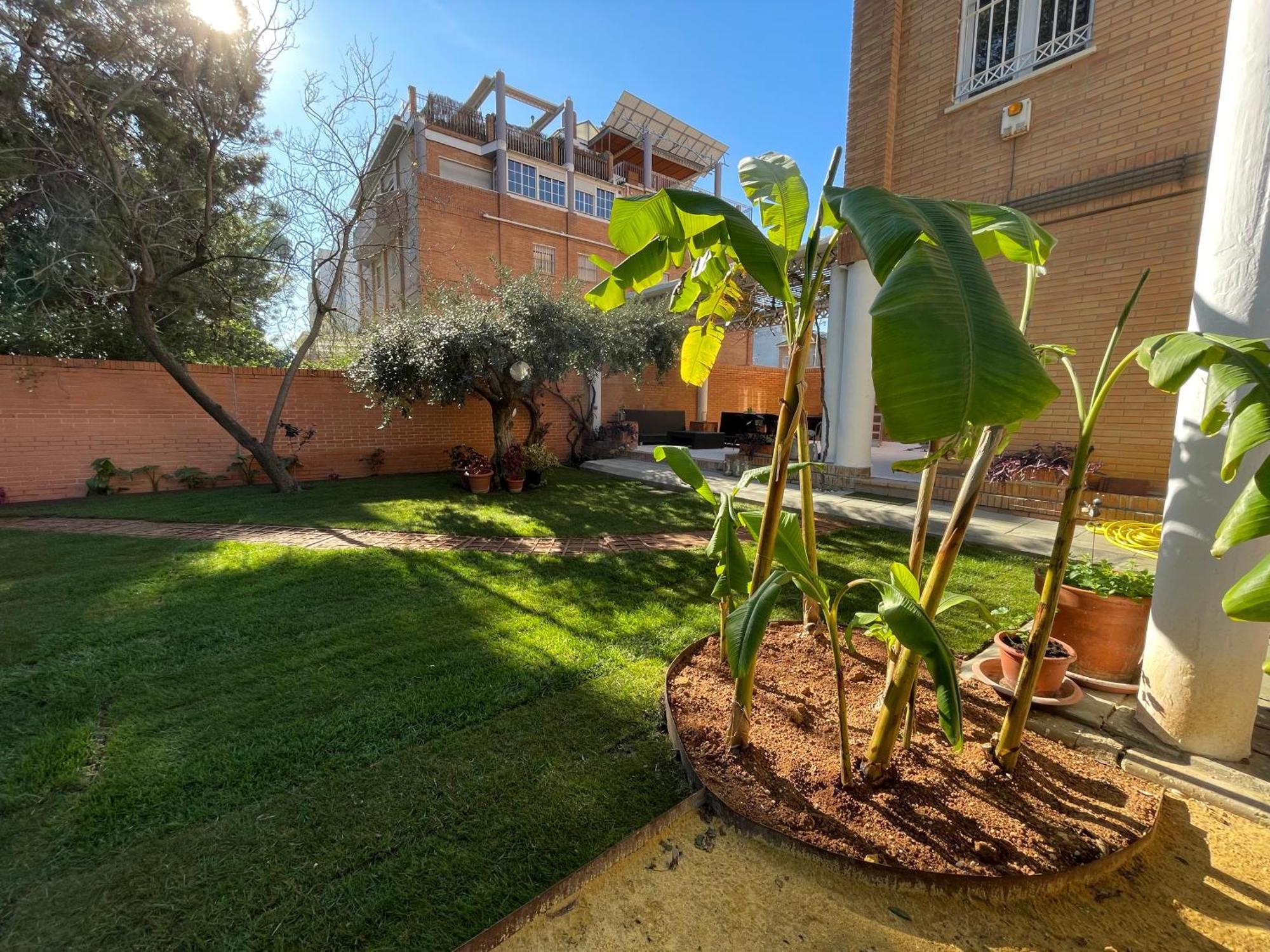 El Jardin De La Palmera