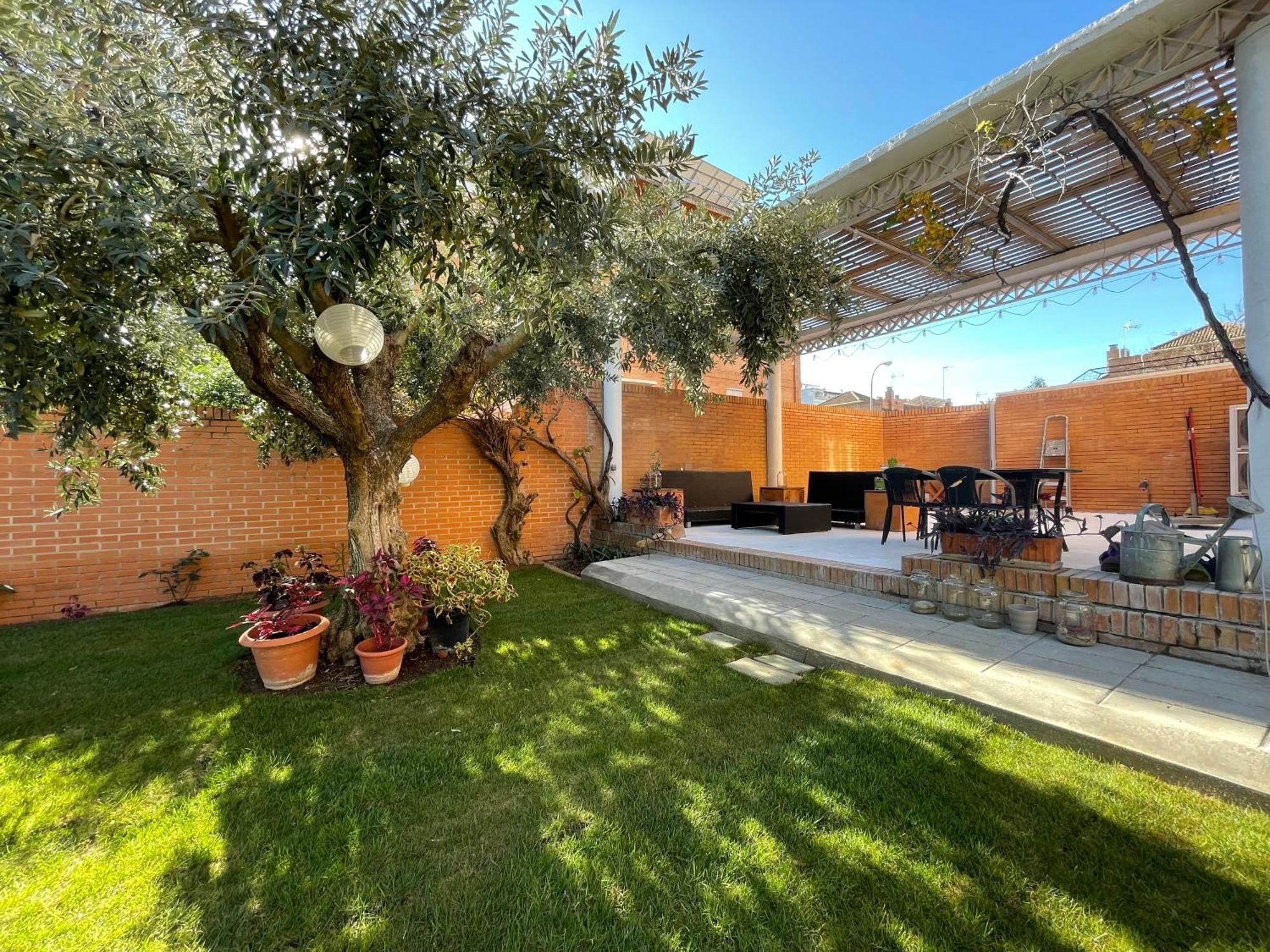 El Jardin De La Palmera Sevilla