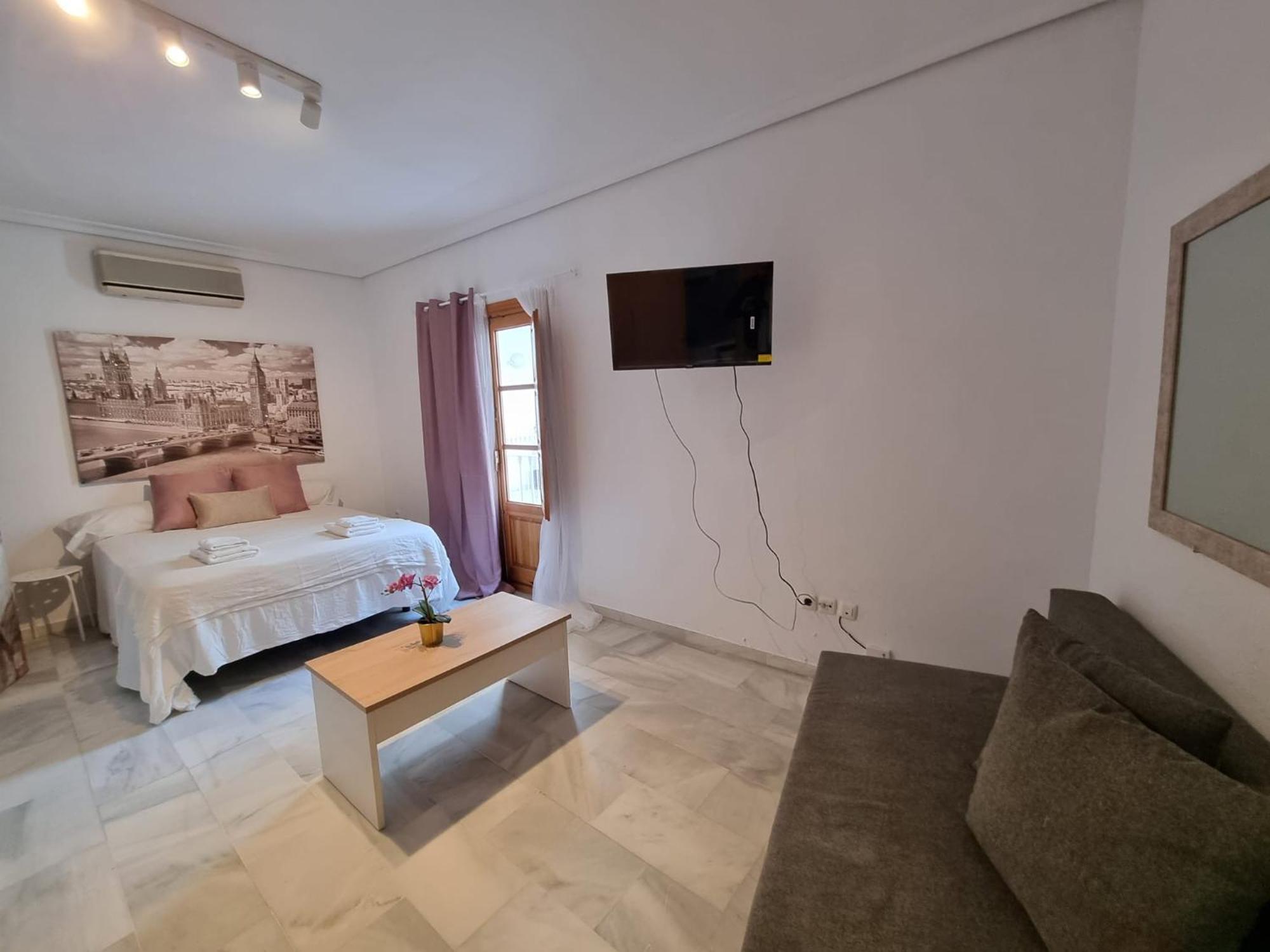 Magnifico Loft Sevillano En El Centro Seville
