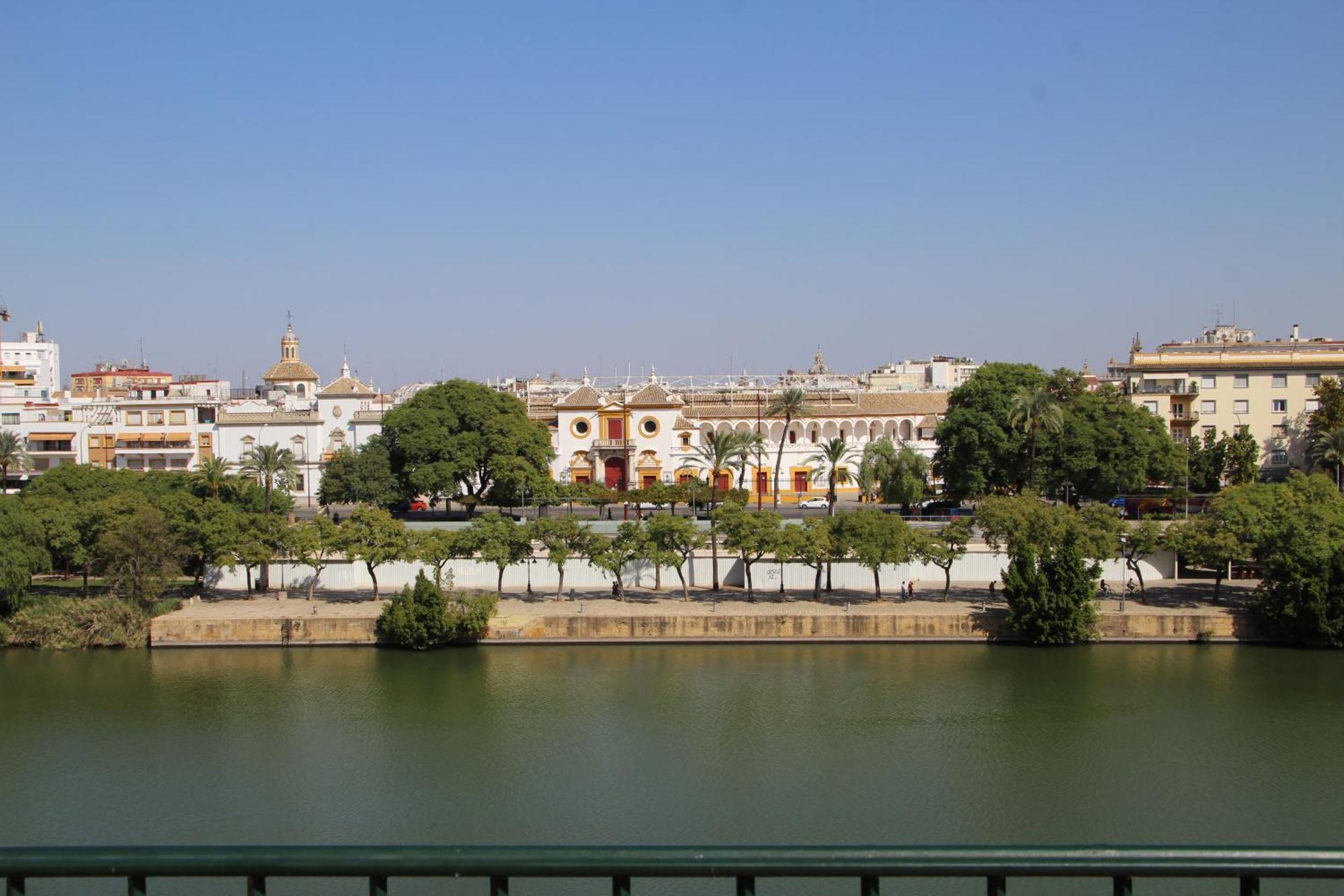 Luisahouse, En El Corazon De Y Triana Apartamento Sevilla