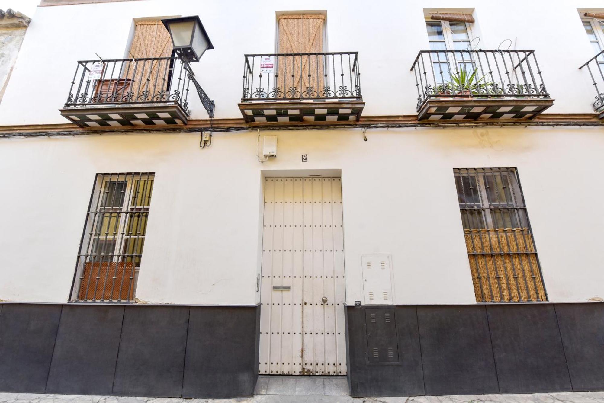 Apartamento New! Bohemian Center