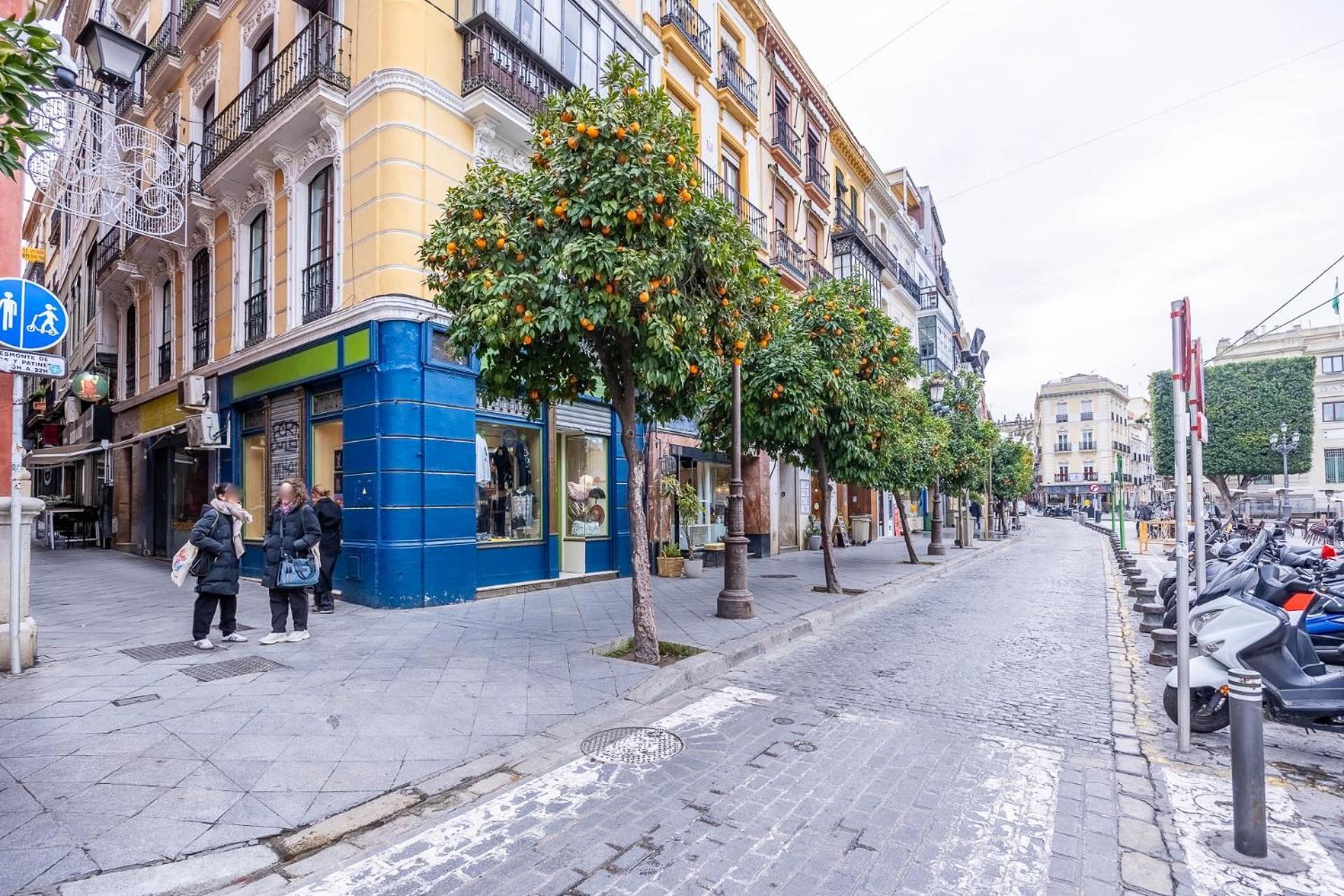 Chicarrero Vacacional Seville
