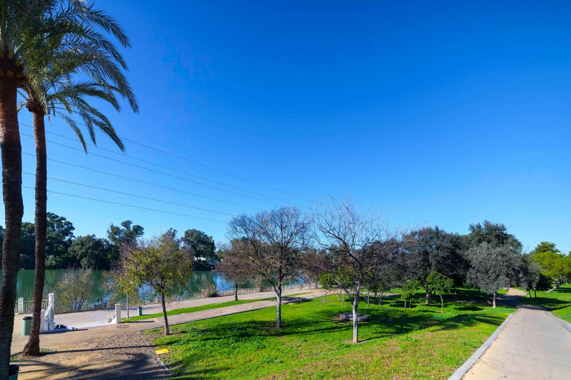 Apartment Sje - Shiny Close To The River *