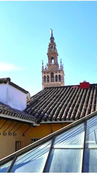 Conteros Centro Sevilla