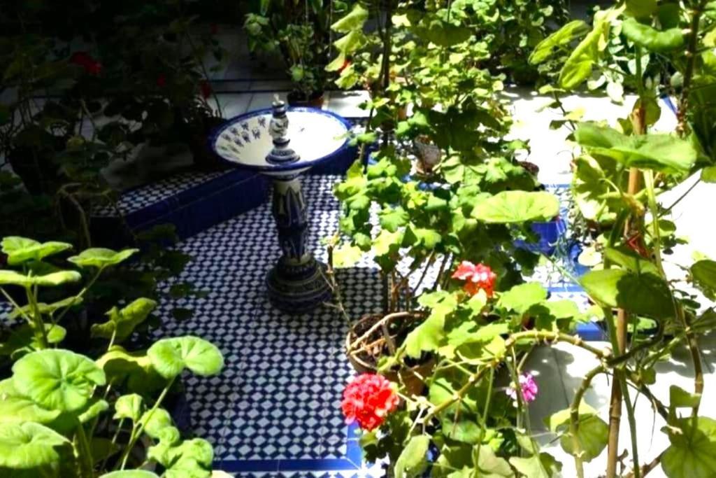 Conteros Centro Apartamento Sevilla