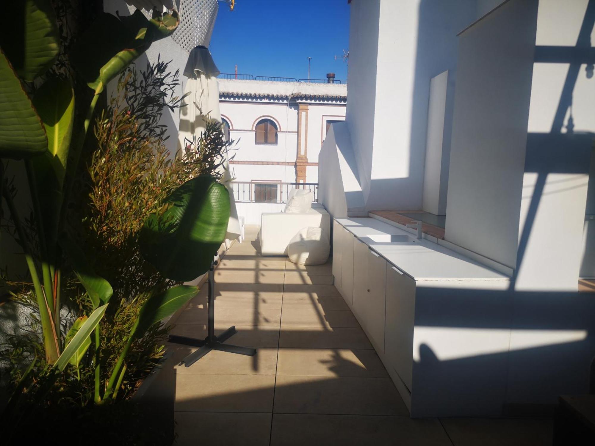 Duplex Luxury Giralda With Terrace Seville