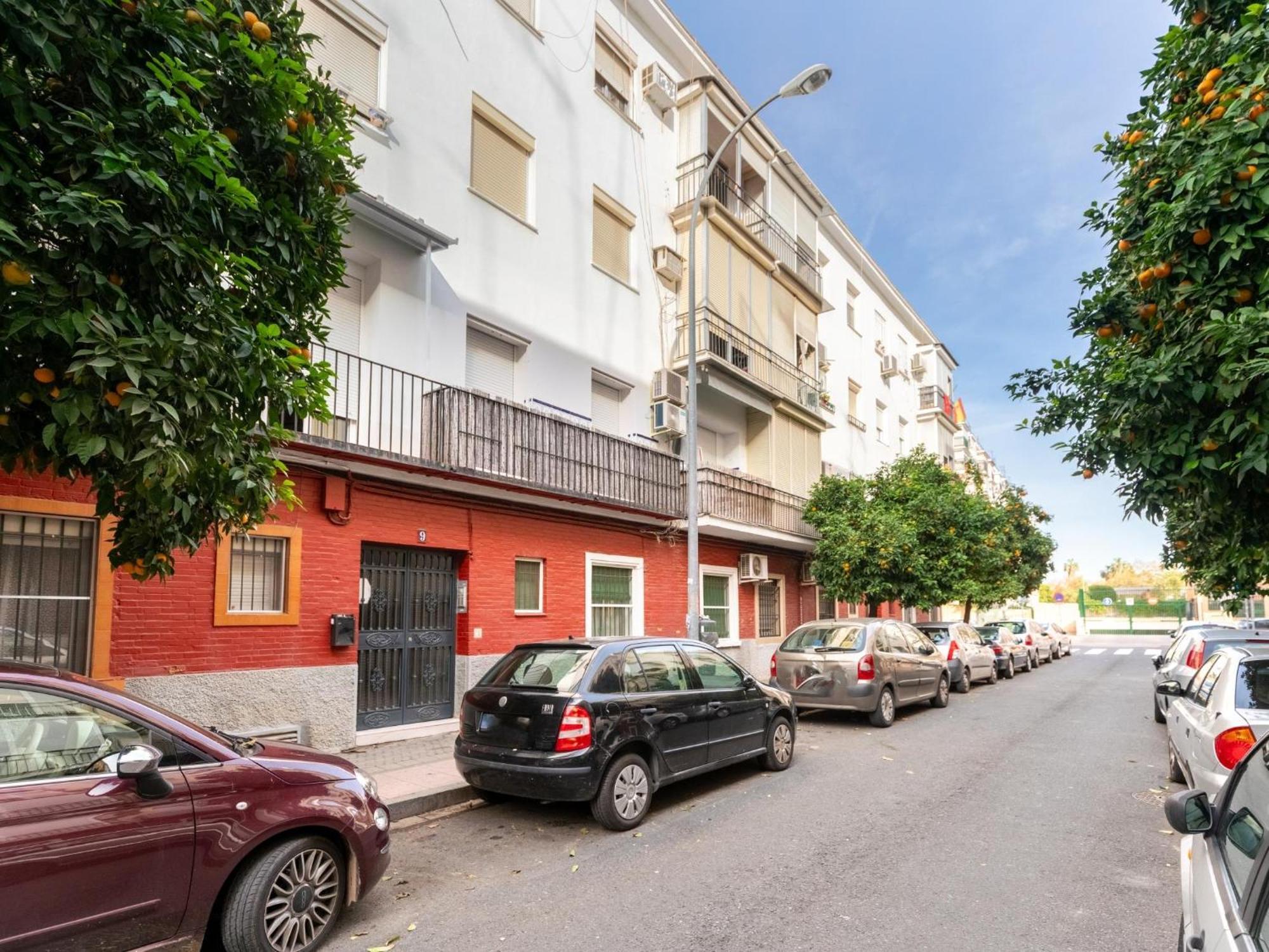 Holi-rent Padre Isla Apartamento