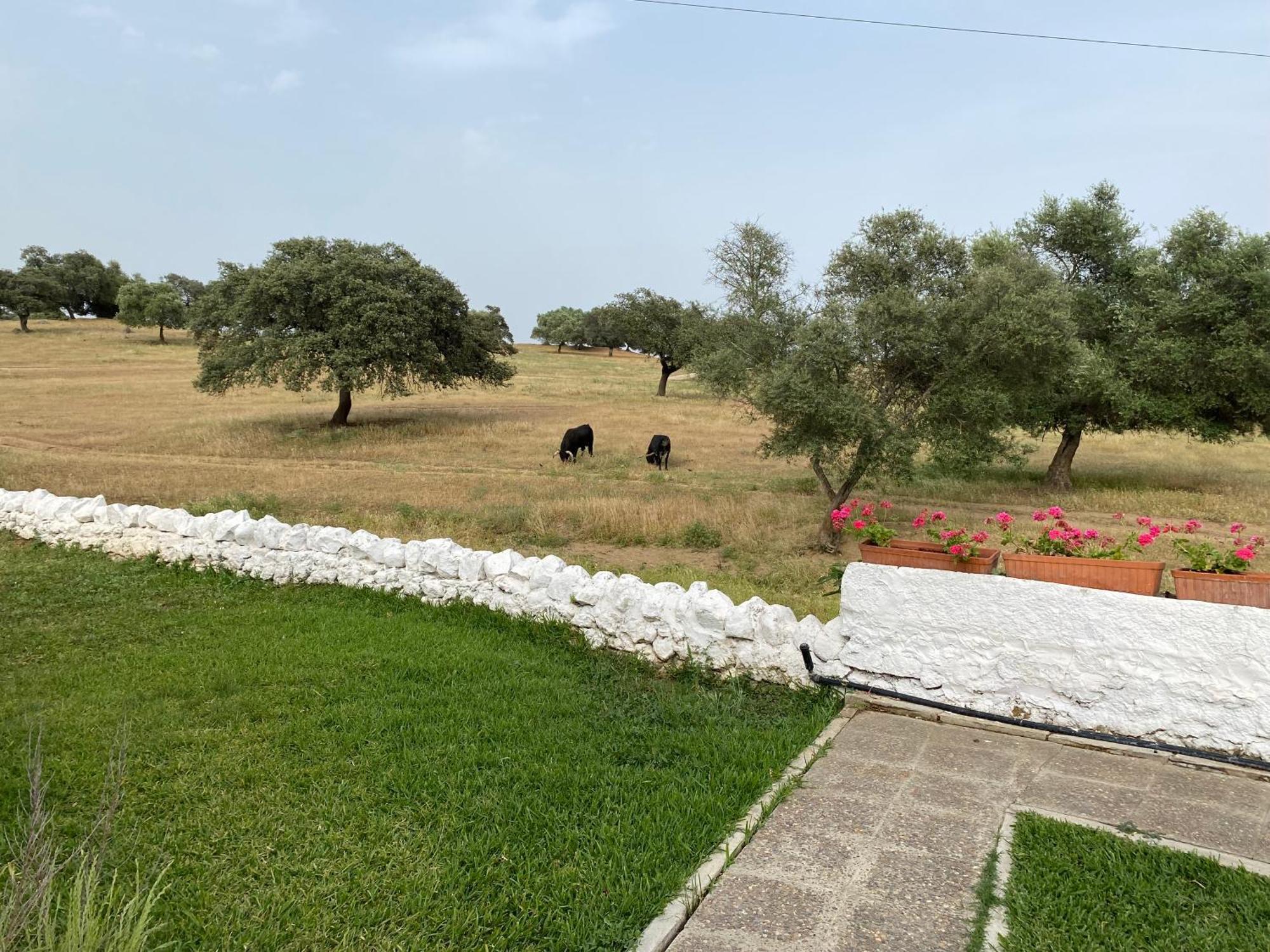 Holiday home Agradable Con Piscina