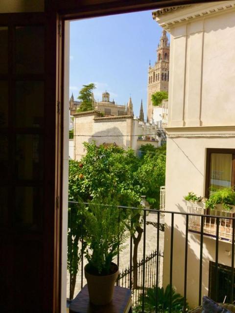 Gotoseville Santa Cruz Catedral Apartamento Sevilla