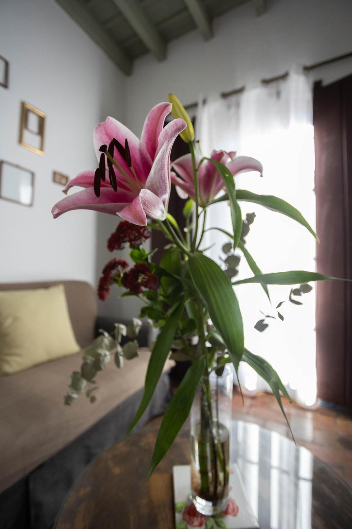 Casa Del Siglo Xvii Holiday home Seville
