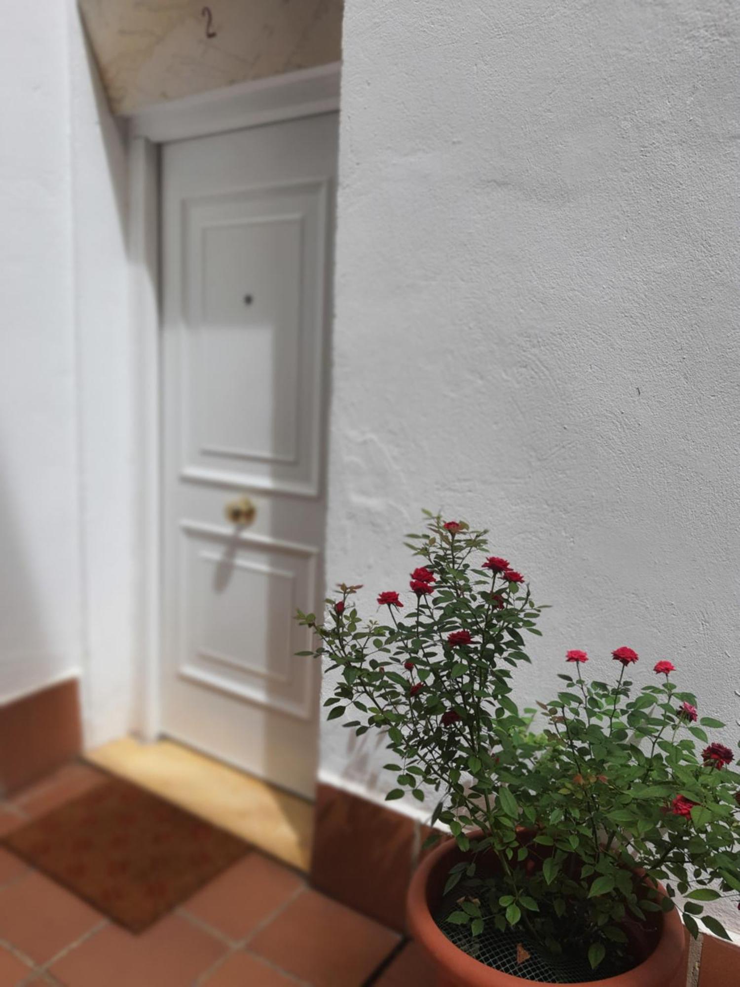 Centuria Macarena, Apartamento Dúplex Apartamento *