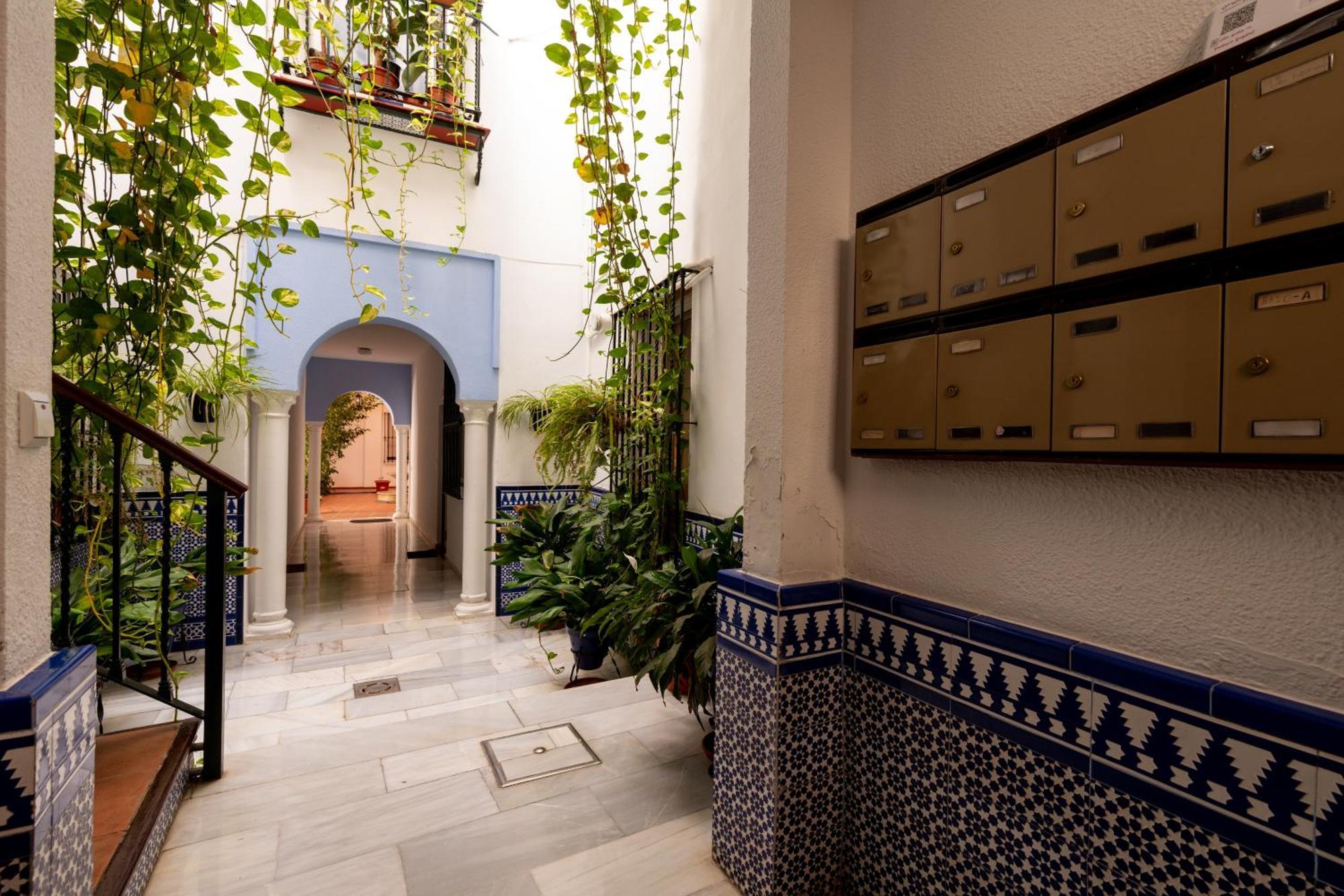 Rc Centro Histórico Catedraljudería Sevilla