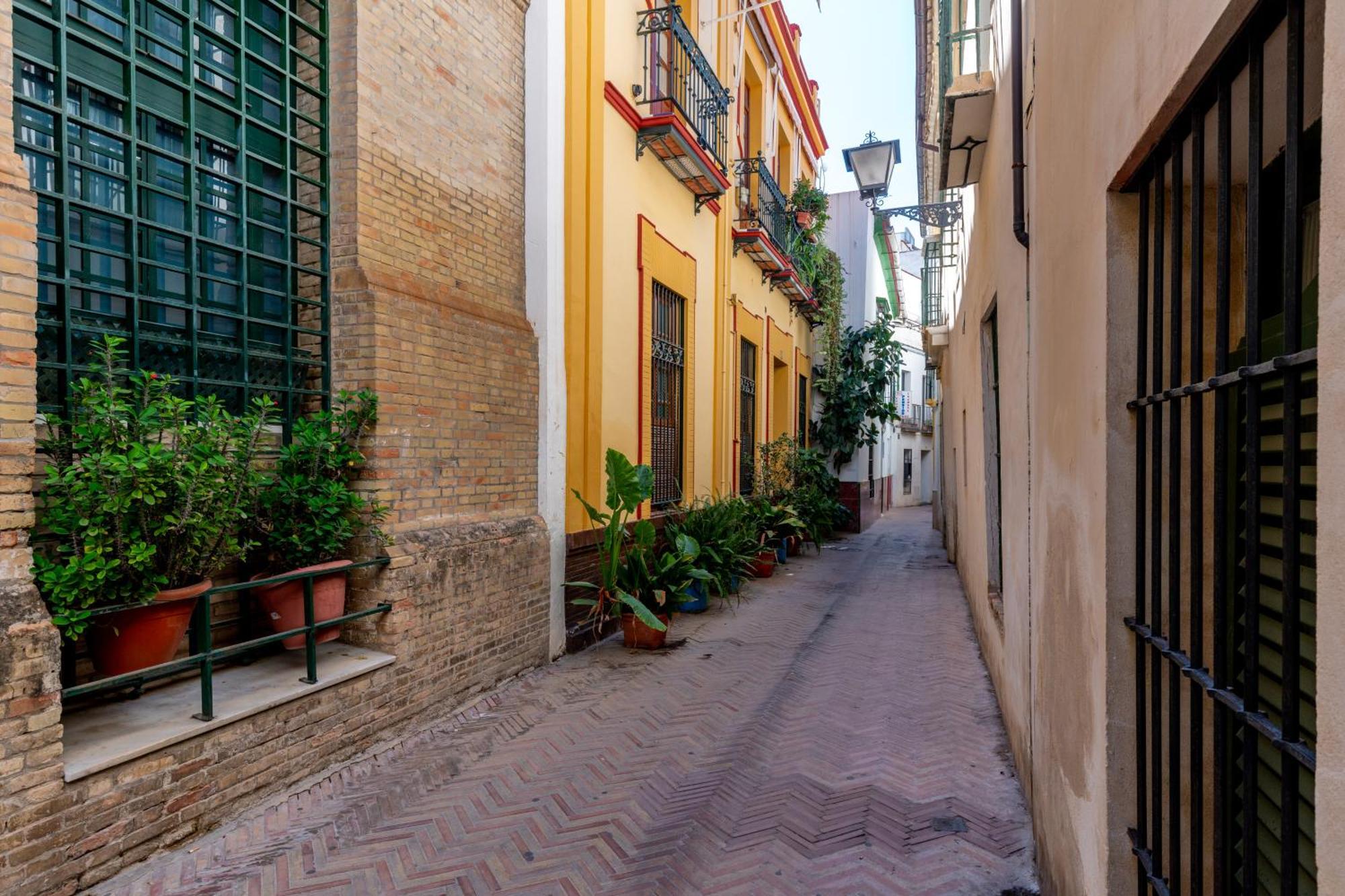 Apartamento Rc Centro Histórico Catedraljudería *