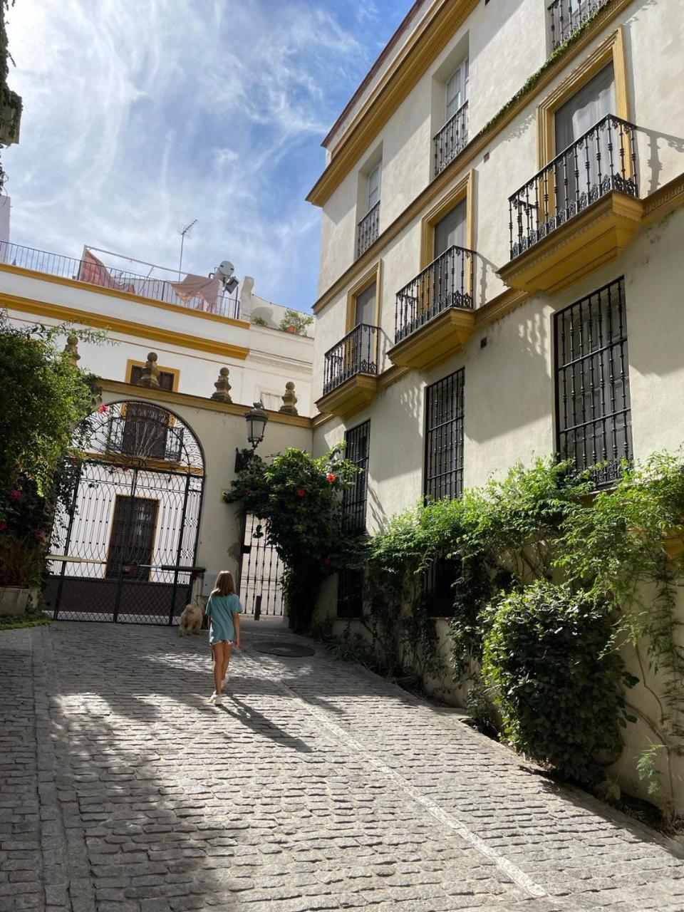 Centro-casco Antiguo -vidrio 36 Apartamento *