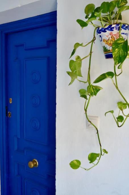 Apartamento La Casa Azul