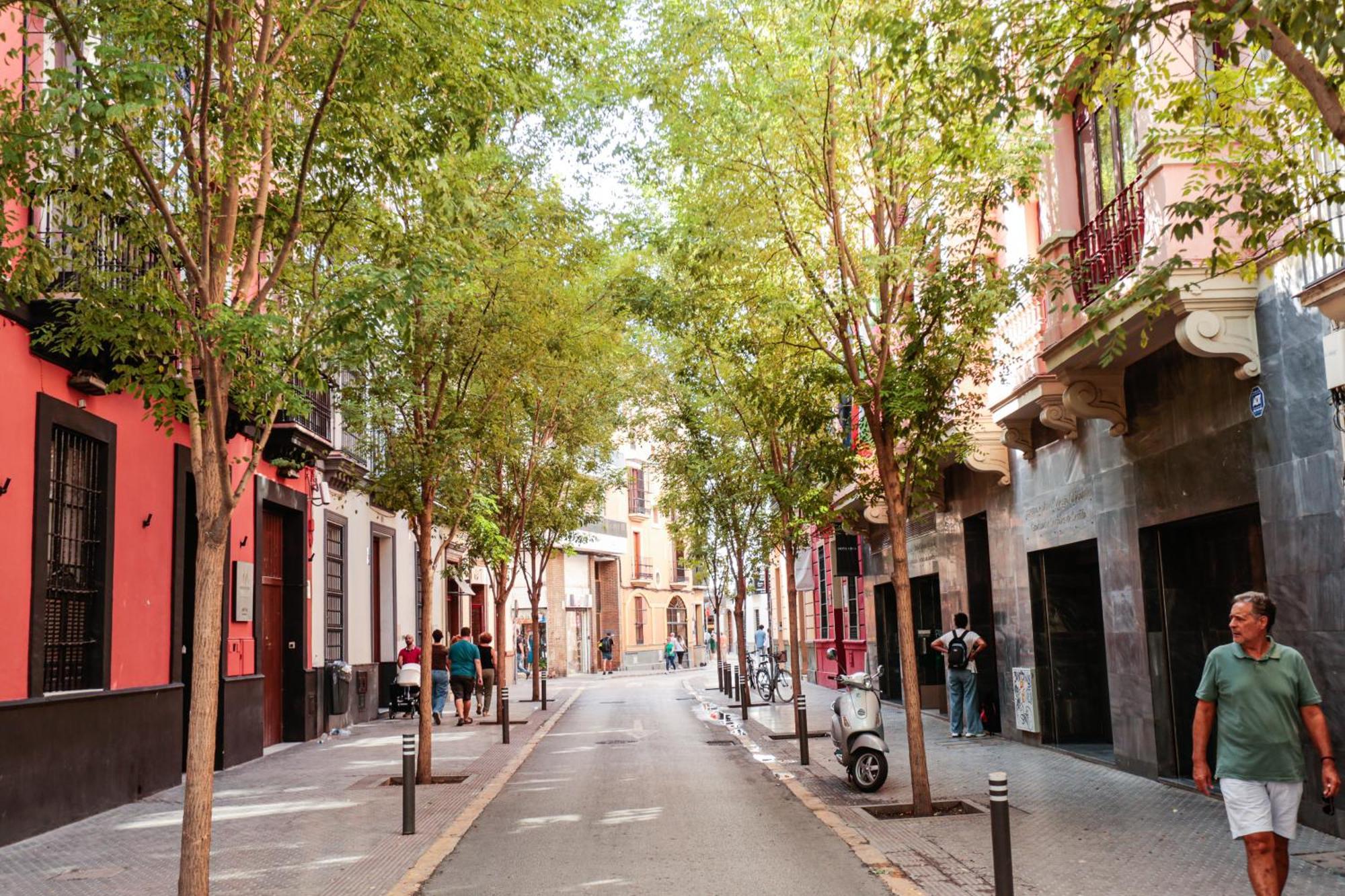 Monkeys Cervantes Apartment Seville