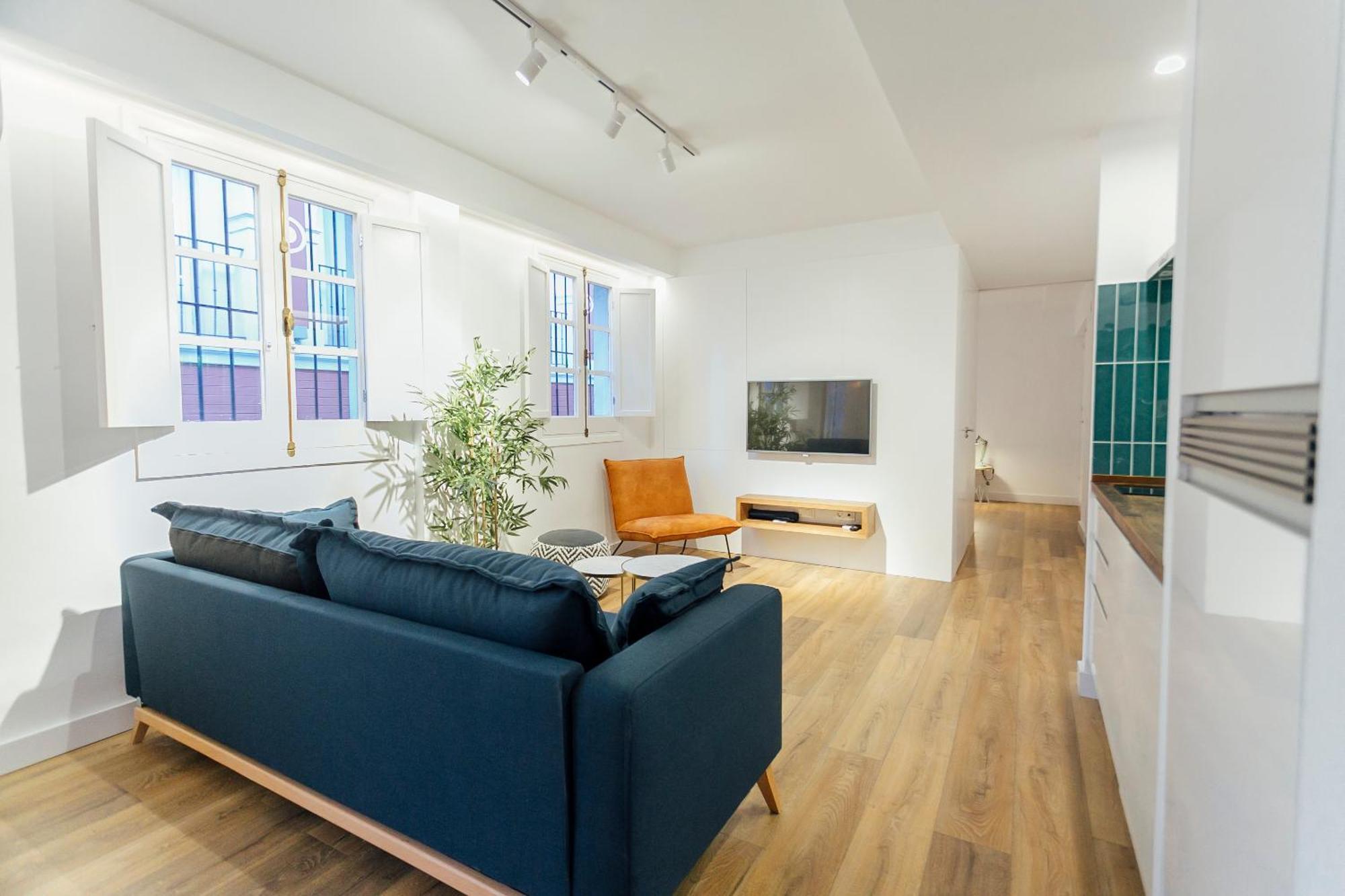 Decorated And Renovated- 2bd 2bth- Center Apartment Seville