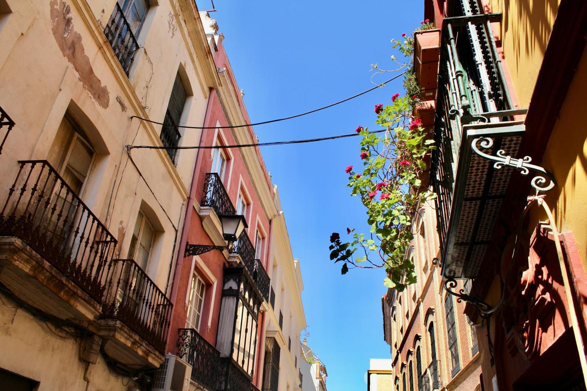 Apartment Wish Plaza Nueva