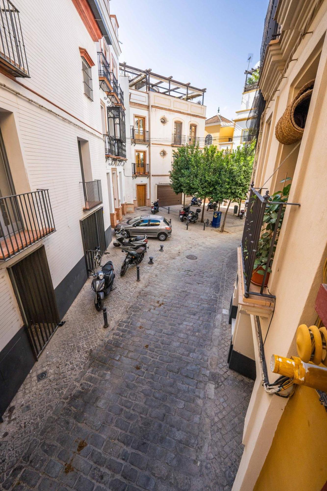 Private House Cathedral Terrace Sevilla