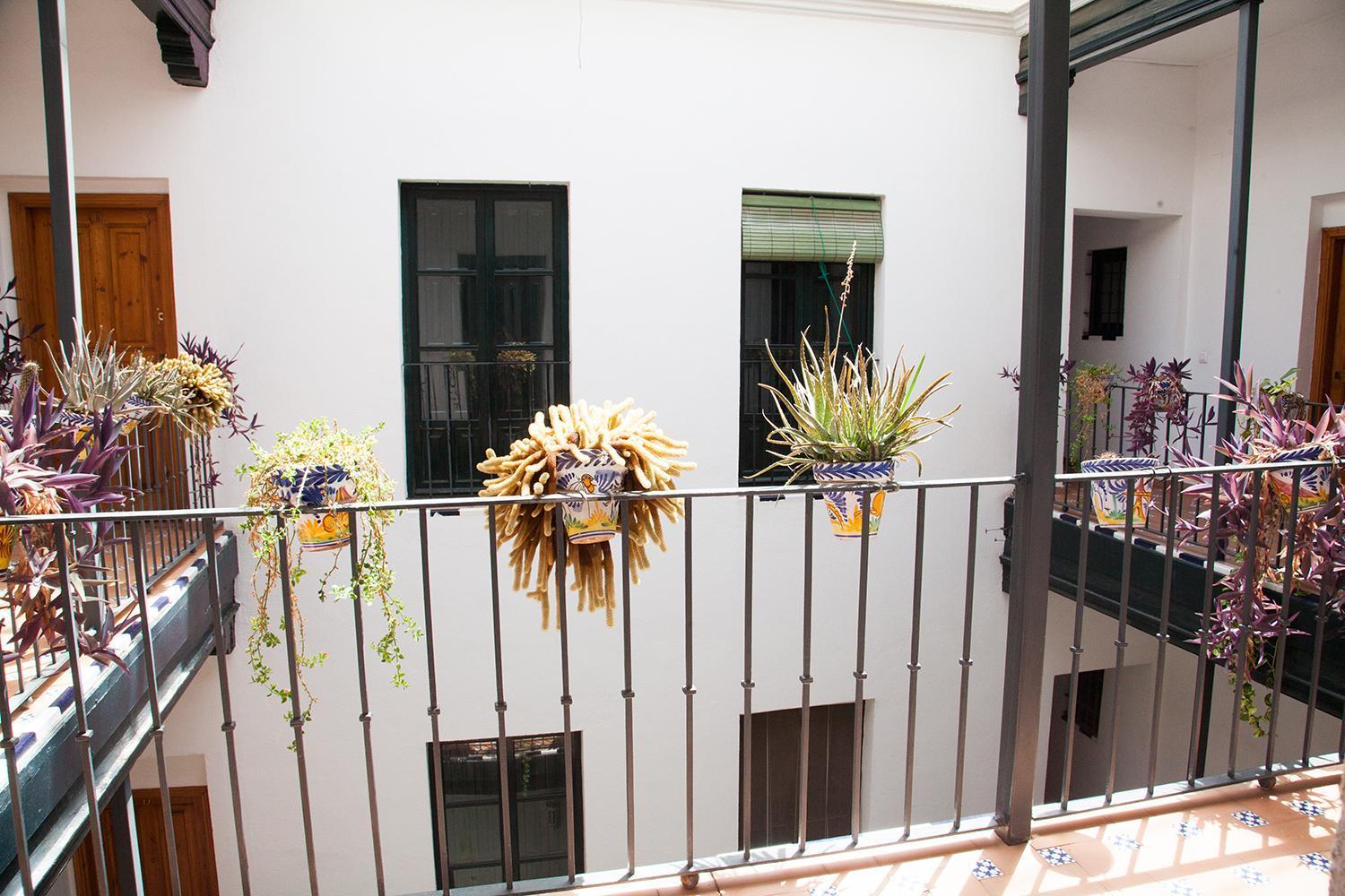Gotoseville Sierpes Apartment *