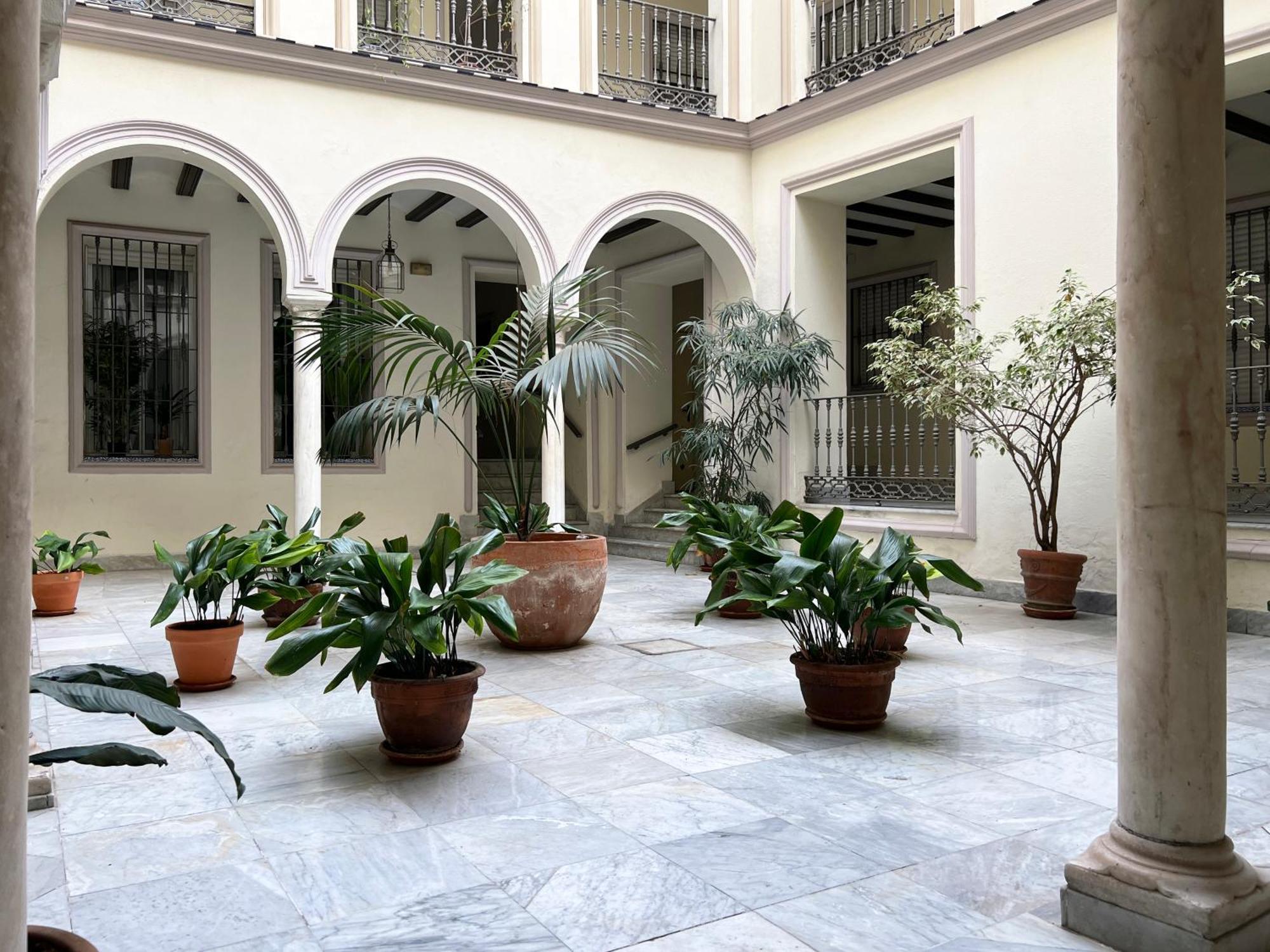 Estudio Calle San Vicente