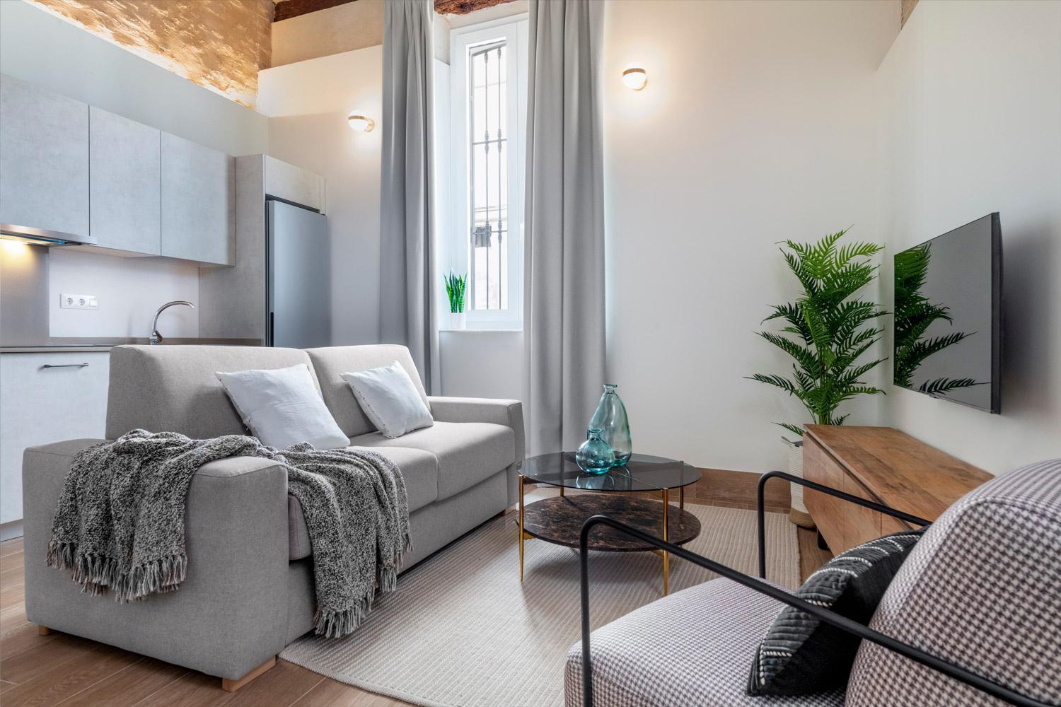 Apartamento Magno Almansa