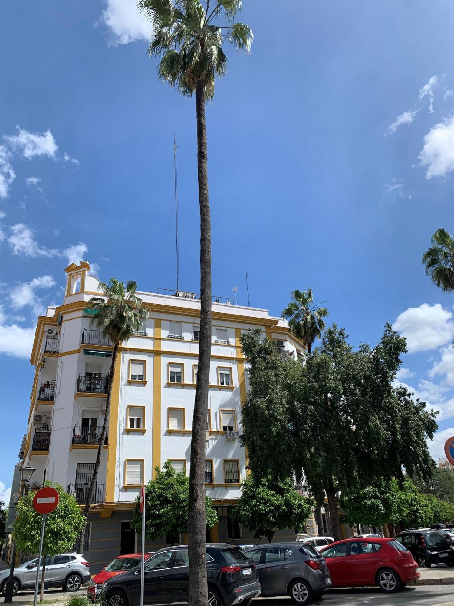 Bonito, Tranquilo Y Fresco En Nervion Apartamento *