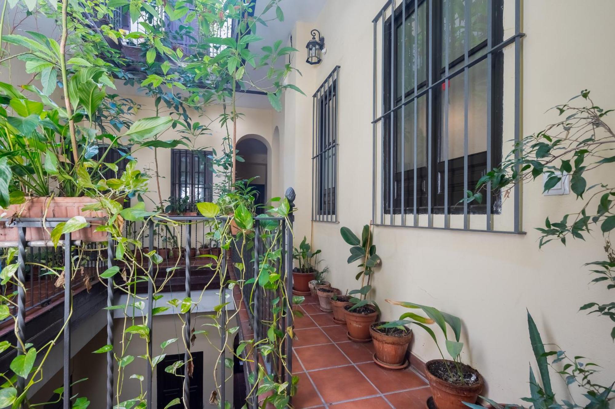 Apartamento Plaza San Marcos *