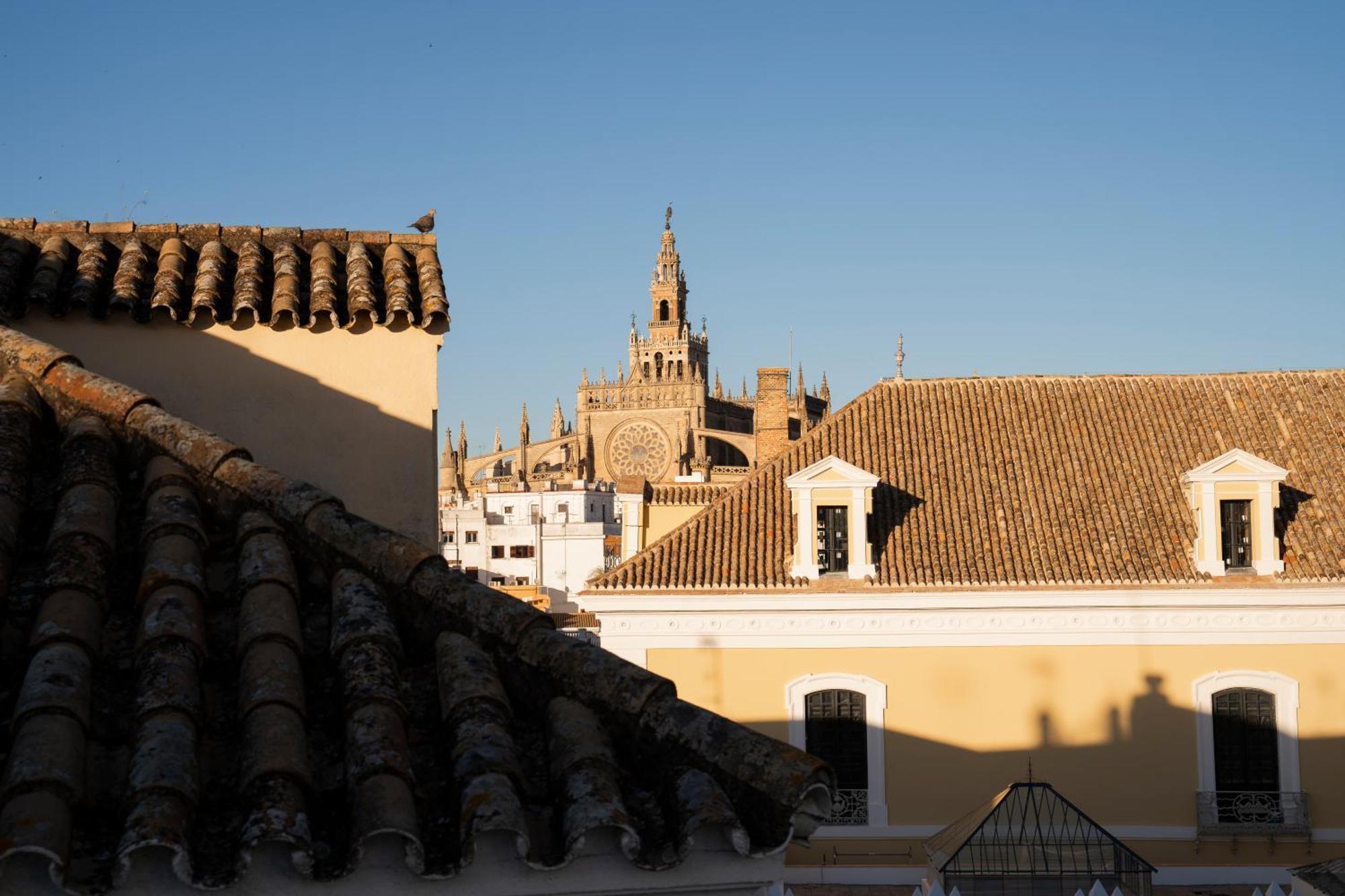 Petite California Dos De Mayo Sevilla