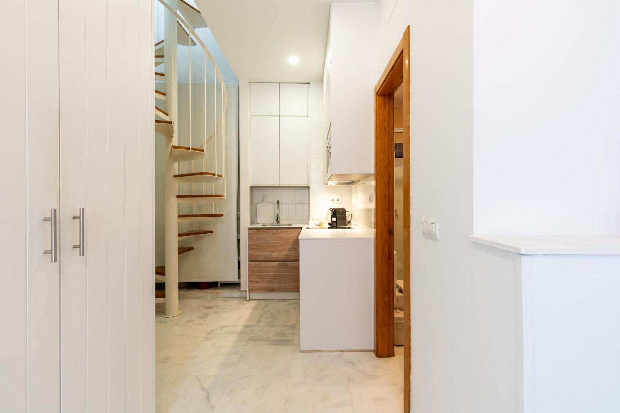 Duplex Con Terraza Junto A La Catedral * Seville