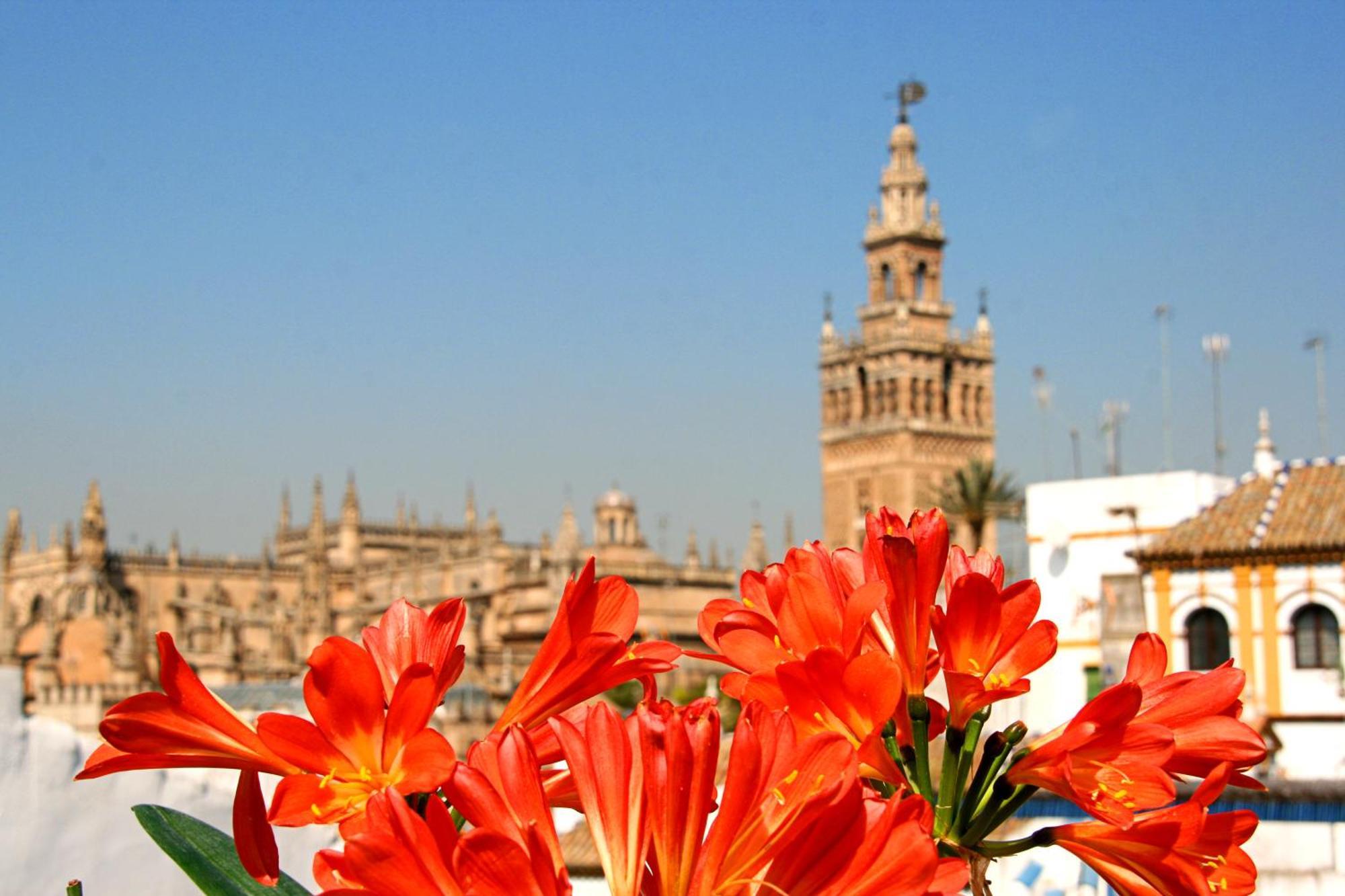 Boutique Casas De Santa Cruz