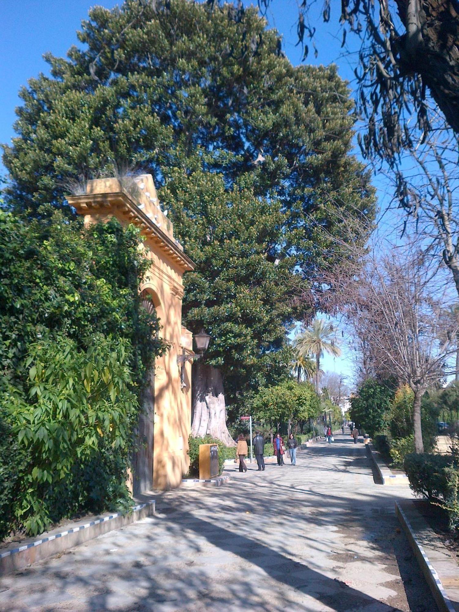 Murallas De Sevilla