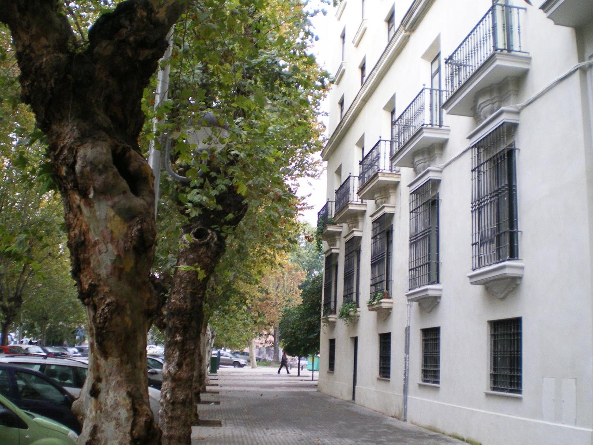 Murallas De