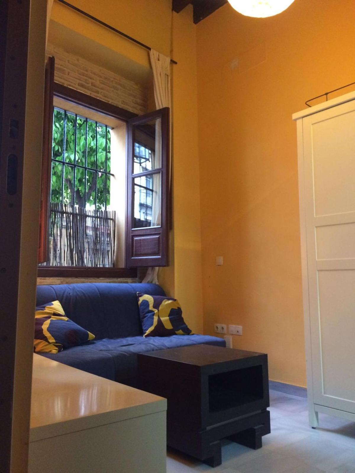 Apartment Castilla 38 Jovenes *