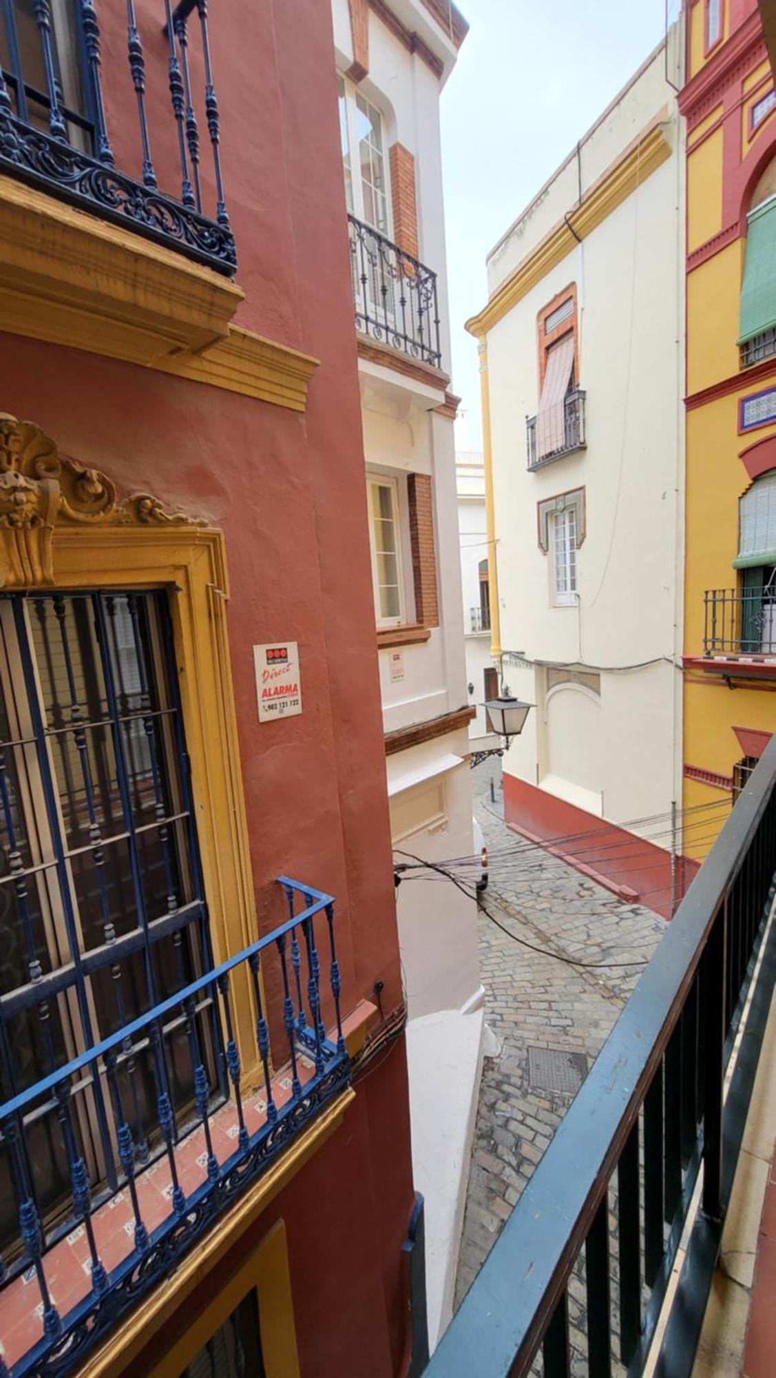 Rentalsevilla En La Plaza Del Salvador Sevilla