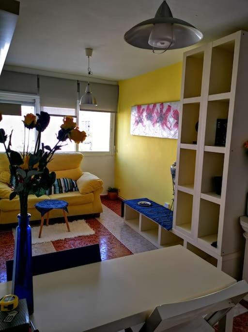 Comfortable & Apartment