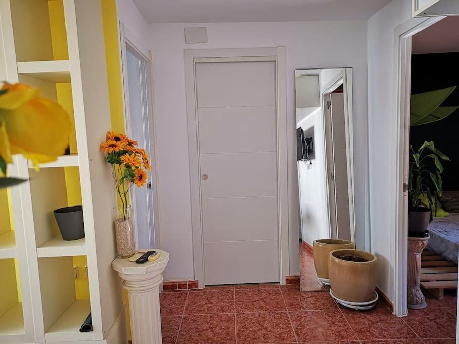 Comfortable & * Seville