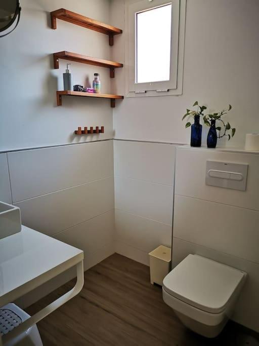 Comfortable & Apartment
