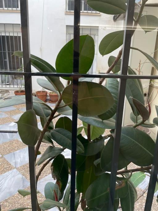 Hoomtur Apartamento Sevilla